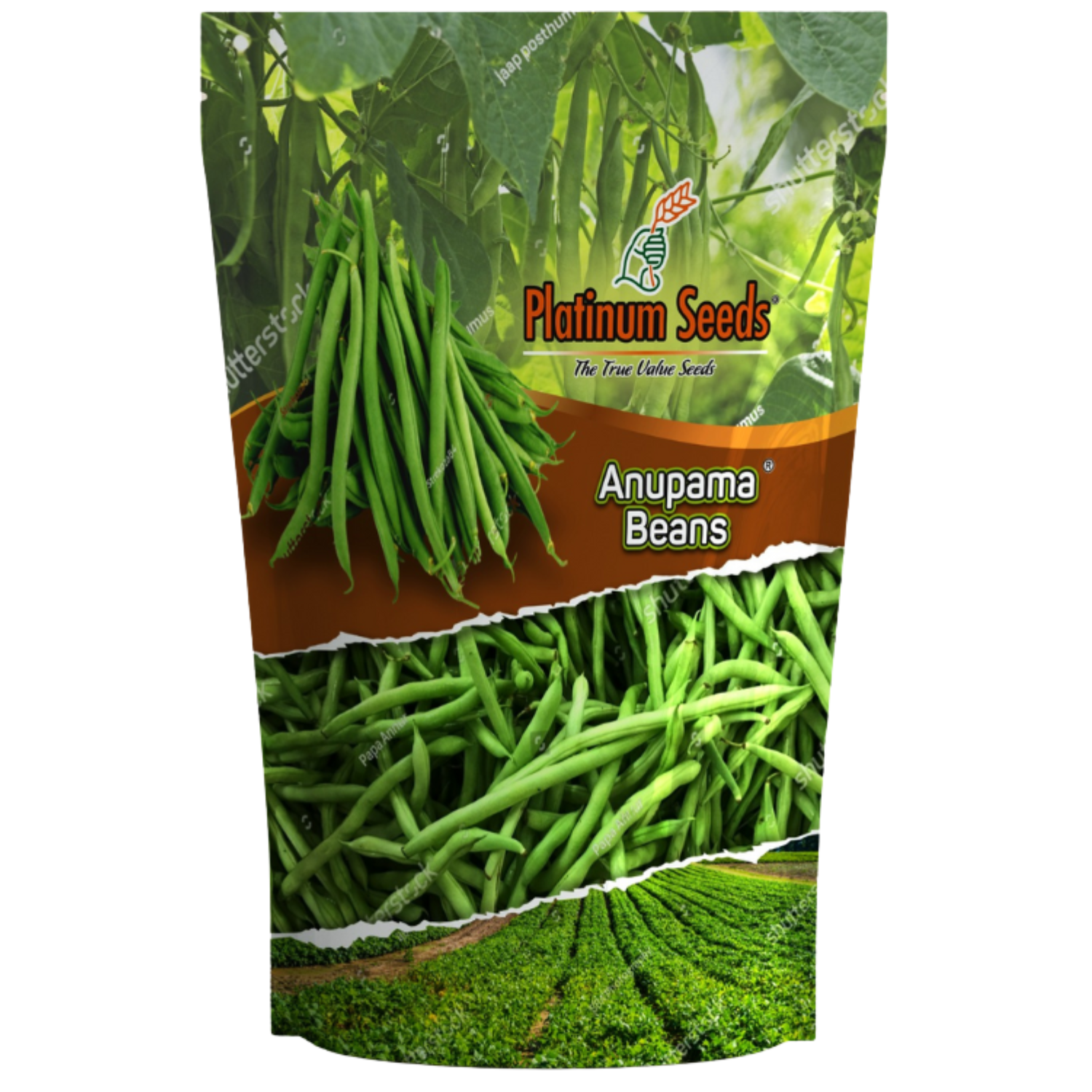 Untitled (1500 x 1500 px) (8)