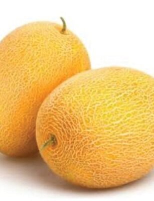 mm art 12 (muskmelon)