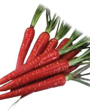 RED-STAR 1