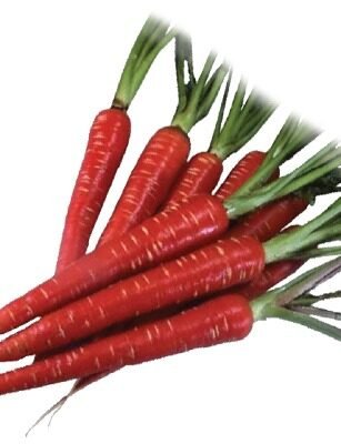 RED-STAR 1
