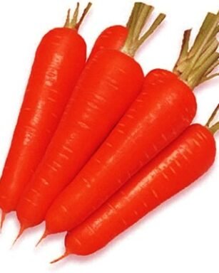 F-1 HYB SENORITA Carrot Seeds