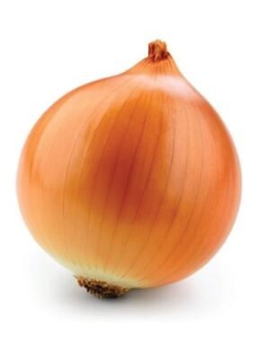 Globe Ultra (Onion)