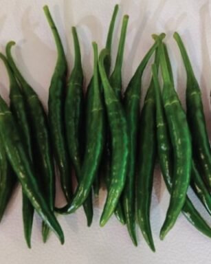 F1 Hyb HP-2 Fireline Chilli Seeds