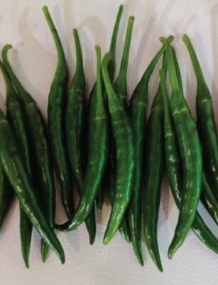F1 Hyb HP-2 (Fireline) (Chilli)