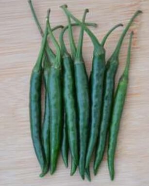 HP-8 Starwar Chilli Seeds
