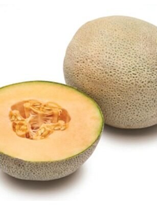 MM Art-9 (Muskmelon)