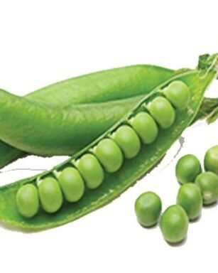 Super Garden Pea Seeds