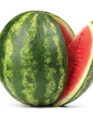 WM – 009 Watermelon