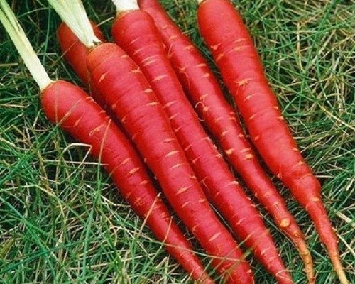 imgi 30 vegetable item 3 28 04 2024 13 19 16