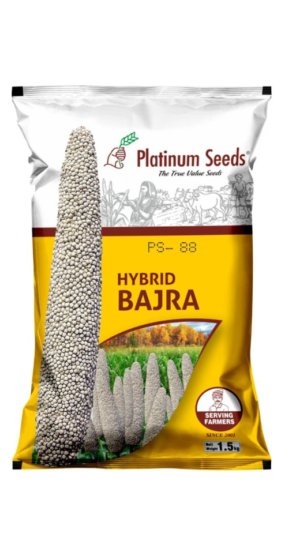 bajra hybrid ps 88