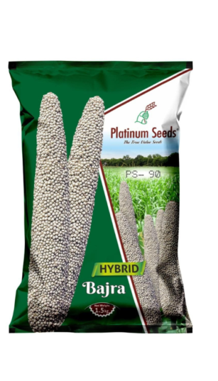 bajra hybrid ps 90