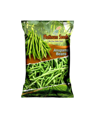 Anupama Beans Imported Seeds