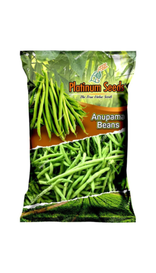 anupama beans (imported)