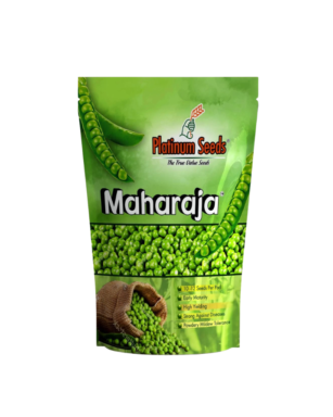 maharaja (imported)