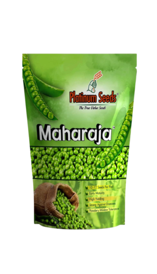 maharaja (imported)