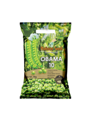 Obama 10 (Imported)