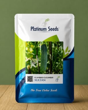 F1 Hybrid Cucumber Sultan