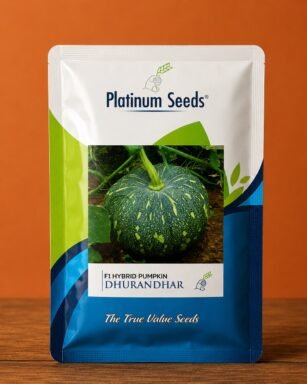 F1 Hybrid Pumpkin Dhurandhar