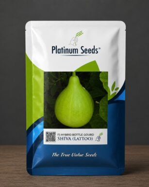 F1 Hybrid Bottle Gourd Shiva (Lattoo)