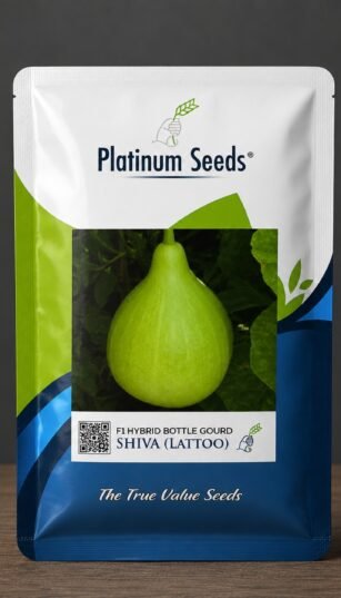 F1 Hybrid Bottle Gourd Shiva (Lattoo)