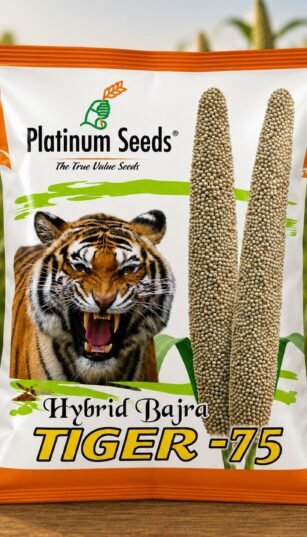 F1 Hybrid Bajra Tiger - 75