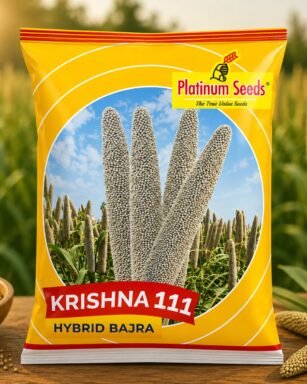 F1 Hybrid Bajra Krishna 111 Seeds