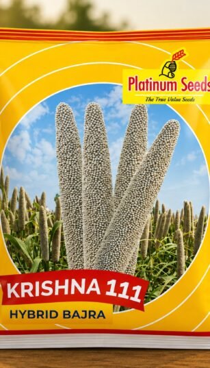 F1 Hybrid Bajra Krishna 111
