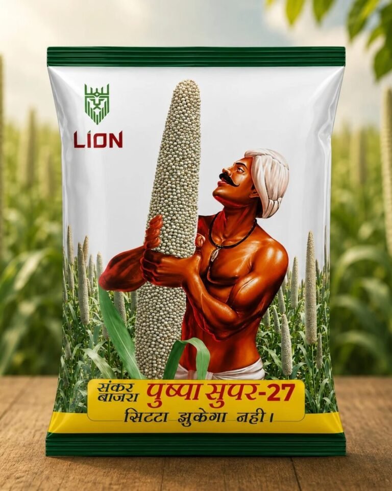 Hybrid Bajra Seed Varieties