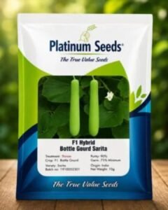 Disease Resistant Vegetable Seed Varieties
