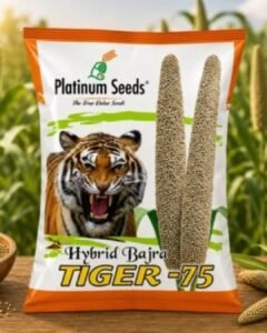 Best Quality Seeds for Farming in India