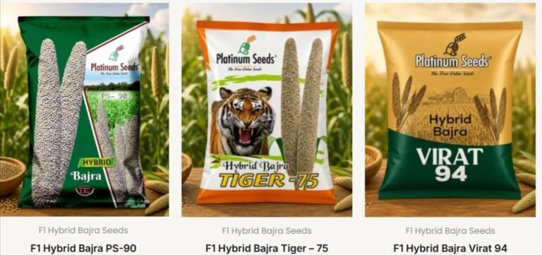 hybrid bajra vs desi bajra India