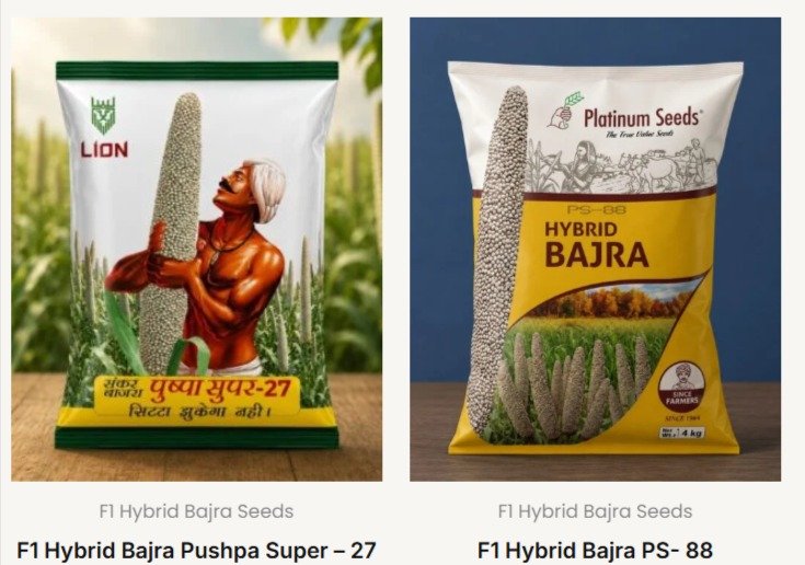 hybrid bajra vs desi bajra India