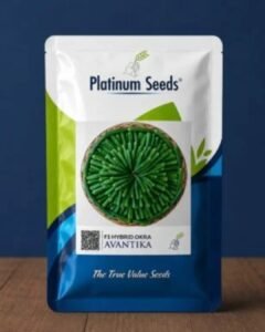 F1 hybrid okra varieties